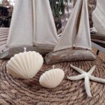 muscheln